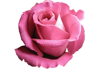 Alış verişte çok yemin etmekten sakınınız