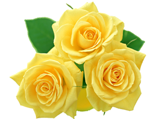 Şükredici kalb, zikredici dil ve mü'mine bir eş edinin