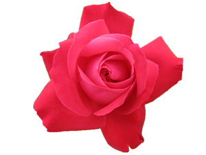 En küçük günahın dahi cezalandırılıcağından korkun