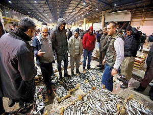 Av sezonu açılıyor, nakil belgesiz balıklar hale alınmayacak