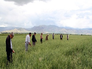 Tarım istihdamındaki artış hız kesmiyor