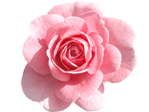 Birinci saftaki sevabı bilseydiniz, kur'a ile geçerdiniz