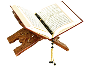 Allah’tan başka yalvardıklarınız bir sinek dahi yaratamazlar