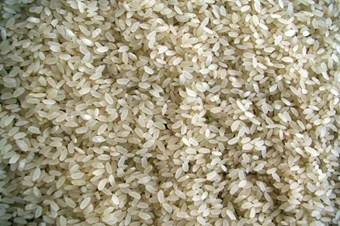 Yaşlanmayı yavaşlatıyor