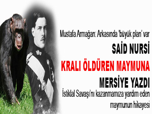 Said Nursi, kralı öldüren maymuna mersiye yazdı