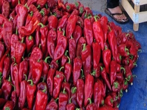 Kırmızı biber yüzde 50 ucuzladı
