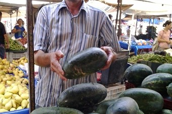 Fenni gübre kullanılmadan yetiştirilen karpuz 1,5 lira