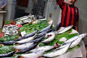 Ruslar Türk balığı yiyecek