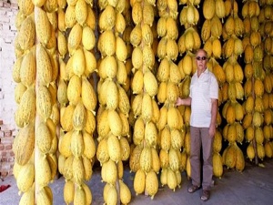 Avrupa'dan sonra Asya'ya da ihracı yapıldı