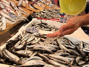 Balıkçılar ‘Vira Bismillah’ dedi, görevliler denetime başladı