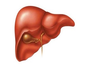 Karaciğer yağlanmasına dikkat