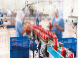 İzmir'in konservesi ABD'yi soslayacak