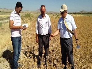 Hangi sebep üretim alanlarını nadasa bıraktırıyor?