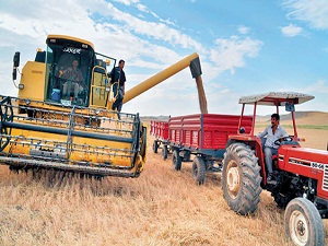 Türkiye, tarımsal ekonomik büyüklükte Avrupa birincisi