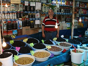Zeytin sineği ile mücadele dönemi başladı