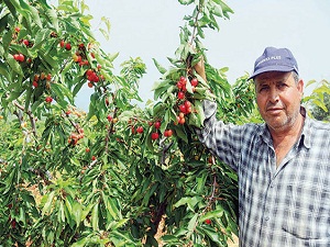 ‘İyi Tarım Uygulamaları’ 3 bin 700 çiftçiye ulaştı