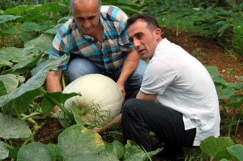 Diyarbakır'dan getirdiği tohumlarla 60 kiloluk kabak yetiştirdi