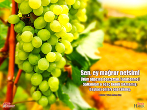 Risale-i Nur'dan vecizeli duvar kağıdı