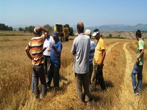 Hububat ihracatı arttı