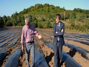 En büyük çilek tarlası kuruluyor!