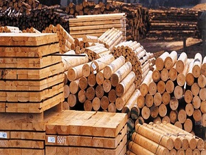 Dövizdeki yükseliş kerestecileri rahatlattı