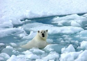 Küresel Isınma Yok, Buzul Çağına Giriyoruz
