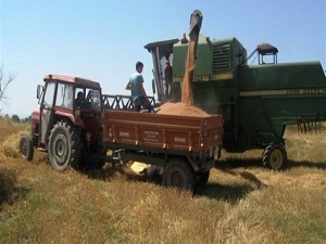 Bakın neyde dünya yedincisiyiz?