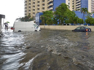 Meksika'da ölü sayısı 34'e yükseldi