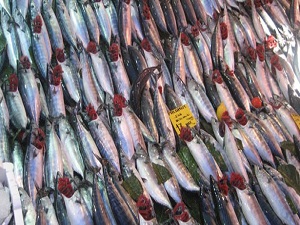 Palamudun tanesi 2,5 liraya düştü