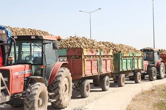 Adapazarı şeker fabrikası satıldı