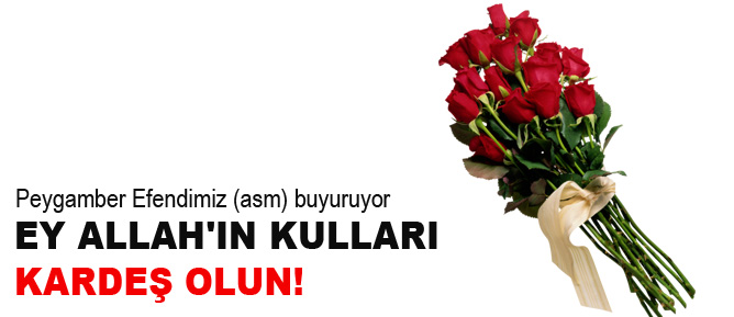 Ey Allah'ın kulları, kardeş olun!