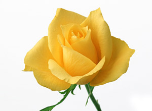 Allah'ı anmaksızın çok konuşmayın