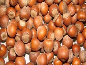 En büyük tehlike burada!