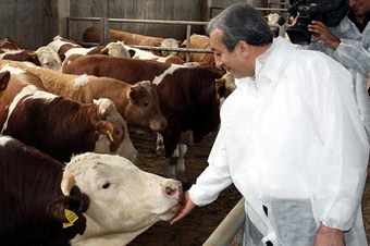 Kurbanlık hayvan sayısında sıkıntı yok