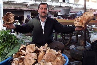 Söğüt ve Geyik mantarı pazarda yerini aldı