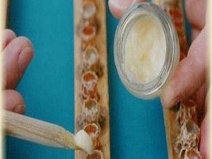 İnanılır gibi değil ama bu sütün kilosu 10 bin TL!