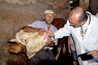 Doğudan batıya kurban sevkiyatı başladı yollarda denetimler arttı