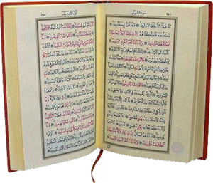 O, kulakları, gözleri, kalbleri yaratandır. Ne kadar az şükrediyorsunuz!