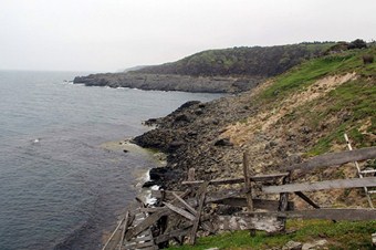 Atmea1  Fukuşima gibi bir felaketten zarar görmeyecek