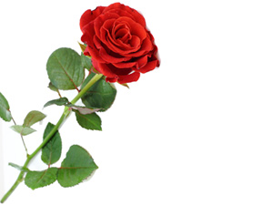 Hangi insan daha hayırlıdır Ya Resulullah (asm)