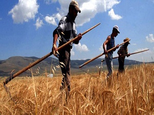 Fatura mağduru çiftçiler için son başvuru