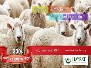 Kurban kardeşliktir, Allah’a yakınlaşmaktır