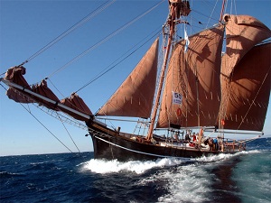 113 yıllık yelkenli 'Rhea' satılıyor