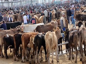 Bayram yaklaşırken yoğunluk da artıyor