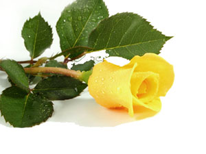 Kanaat tükenmez bir servettir