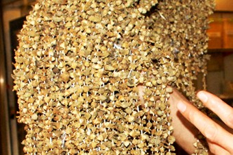 Antibiyotik özelliği olan bamya