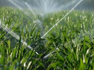 Bakan Eker: Çiftçiye 60 milyar TL destek verdik