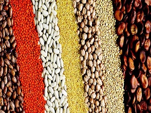 Tarım ürünleri ihracatı yüzde 10,4 arttı