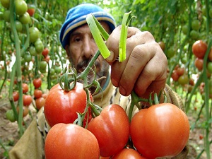 AB'den üreticiye iyi haber