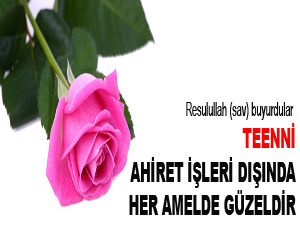 Teenni, ahiret işleri dışında her amelde güzeldir
